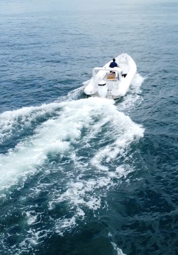 ImmensoBoat-vert-11